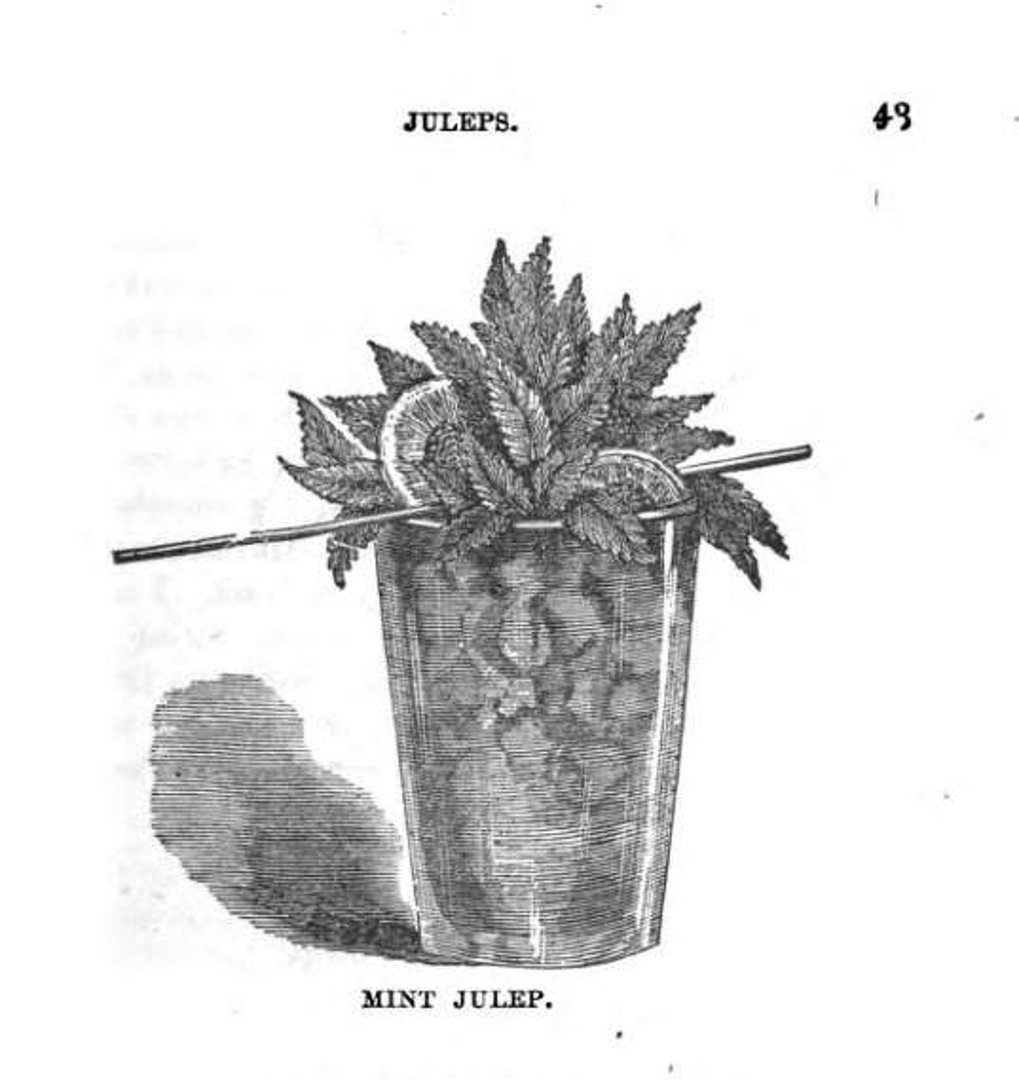 Mint julep — 19th-century engraving